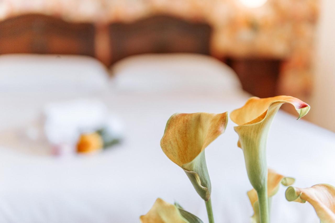 Hotel Aganoor Castiglione del Lago Luaran gambar
