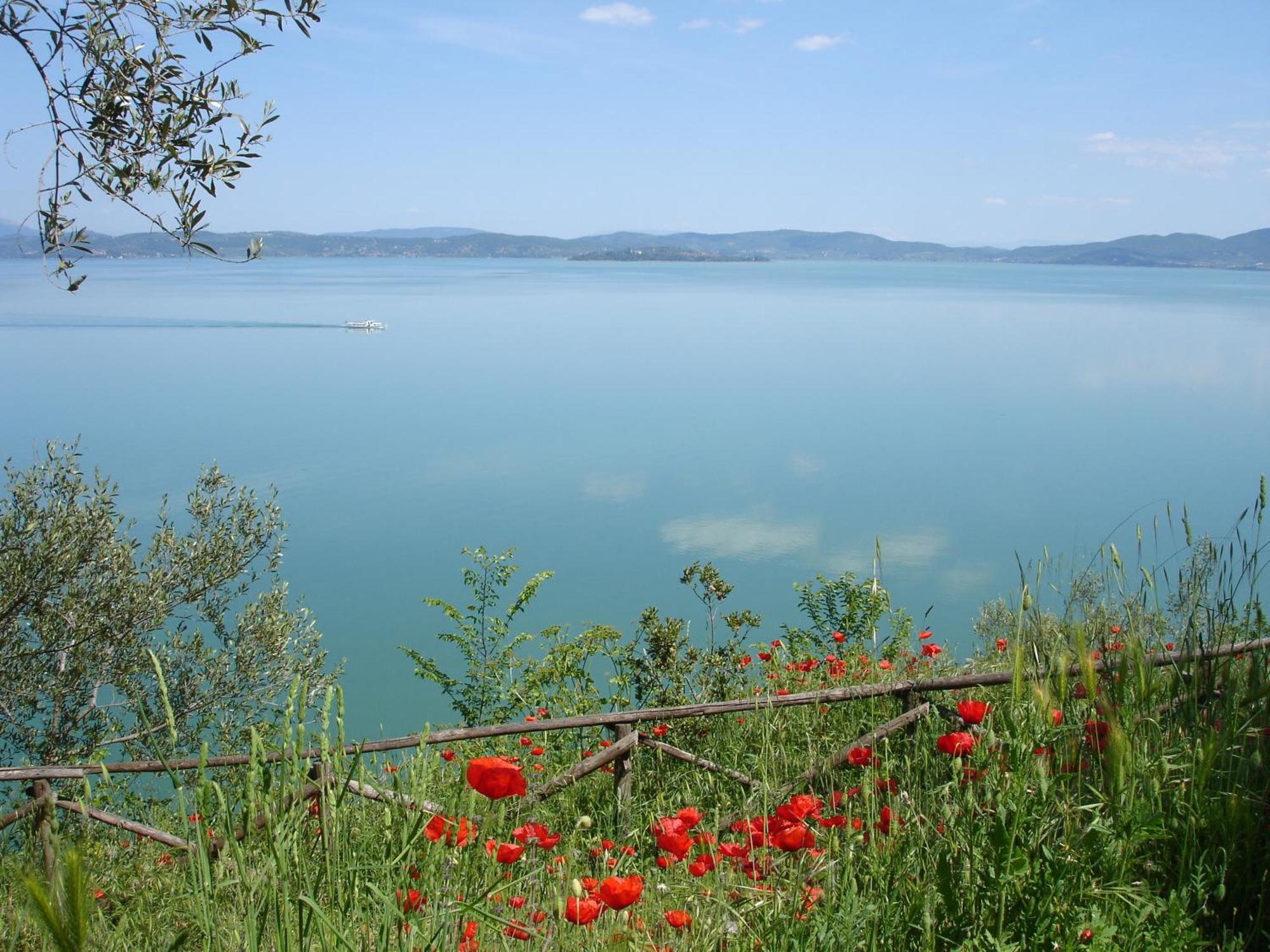 Hotel Aganoor Castiglione del Lago Luaran gambar