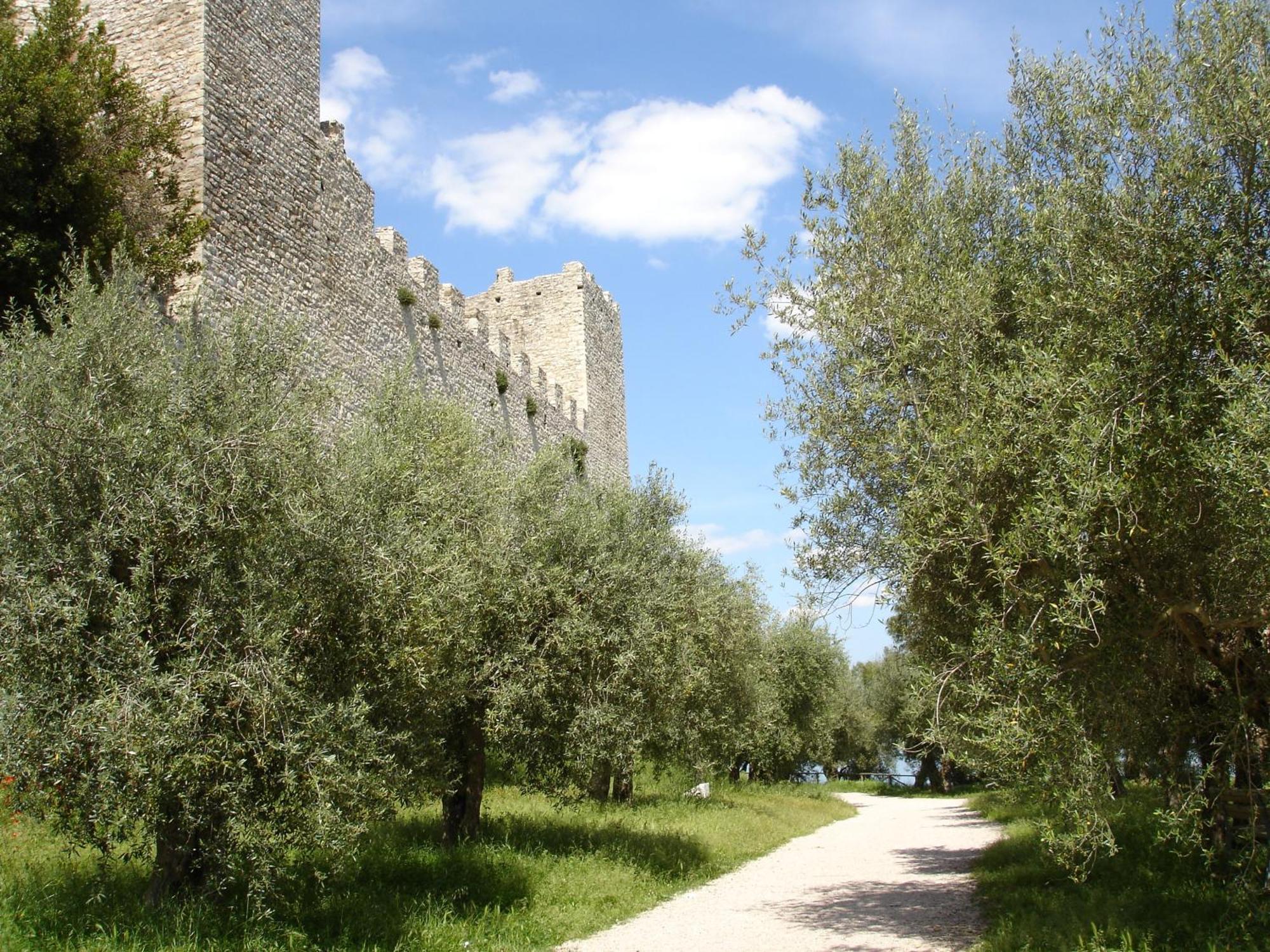 Hotel Aganoor Castiglione del Lago Luaran gambar